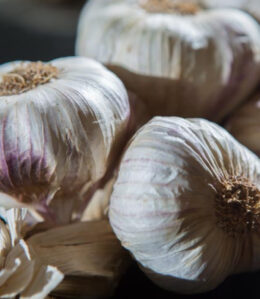 Toute l'actualité culinaire